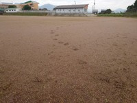 白岩孝夫南陽市長(@TakaoShiraiwa)のXより