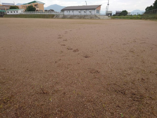 白岩孝夫南陽市長(@TakaoShiraiwa)のXより