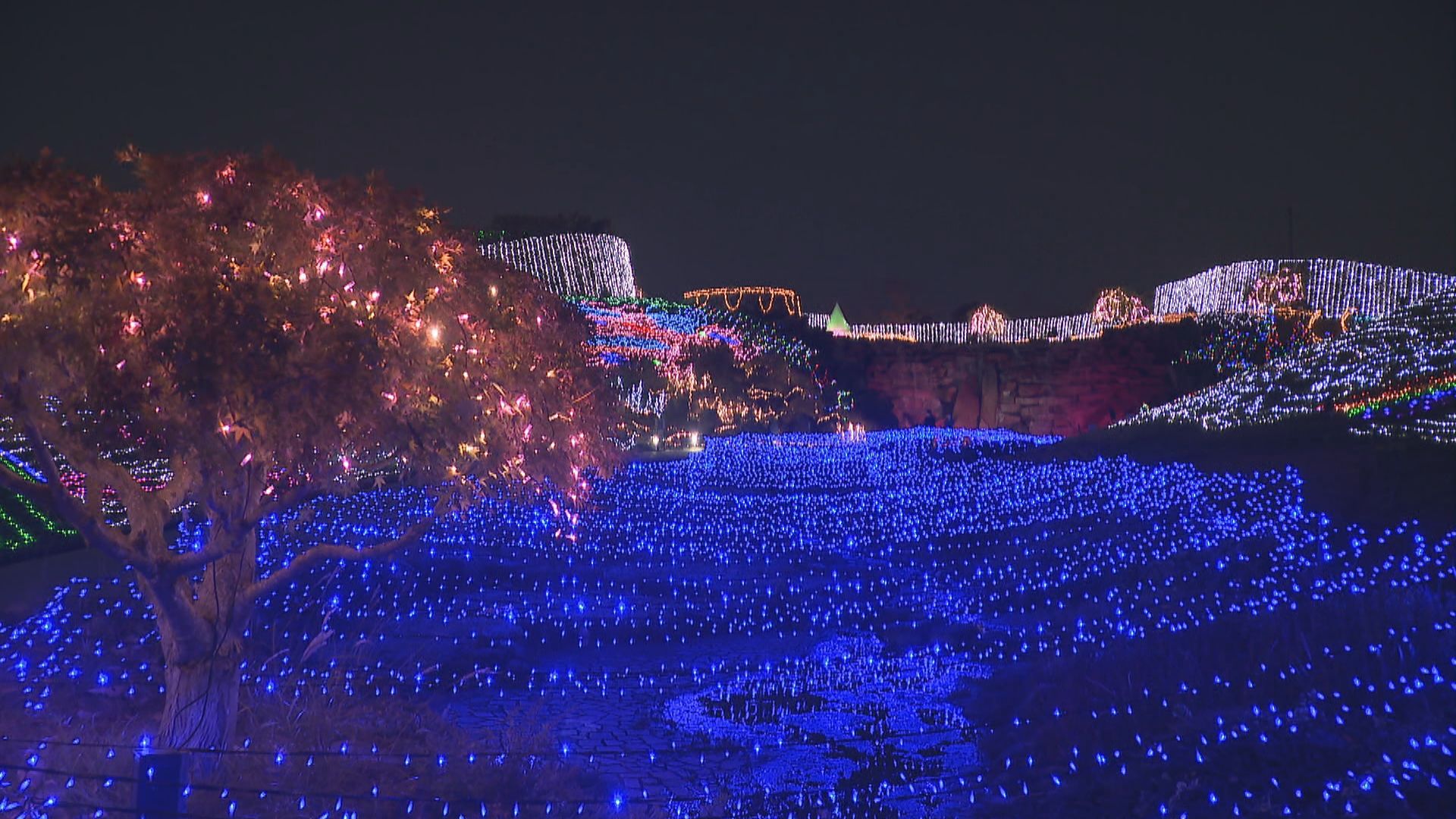イルミネーションイベントに過去最多の約20.8万人 香川・国営讃岐まん
