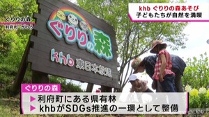 子どもたちが自然を満喫　”ぐりりの森あそび”　ｋｈｂが県有林を整備