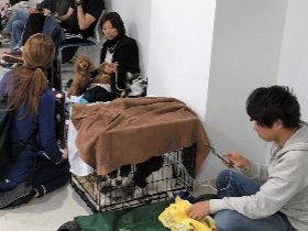 ペット連れ避難、２００人以上を動物病院が受け入れ　熊本地震
