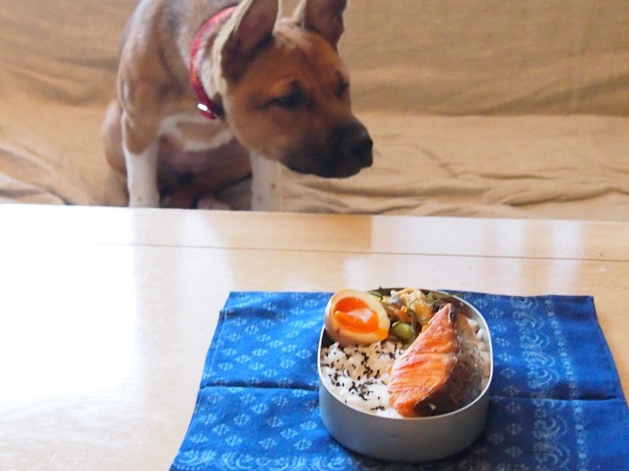 でもやっぱりいい匂い。くんくん