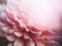 実家で引きこもる私にとって、一人暮らしは異国の文化