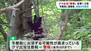 クマ出没の注意報を警報に引き上げ　冬眠前に餌を求め人里へ下りる可能性高まる　宮城県