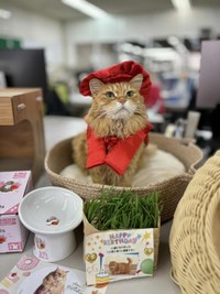 チャトラン副社長 今後も健やかに（画像提供：三協精器）