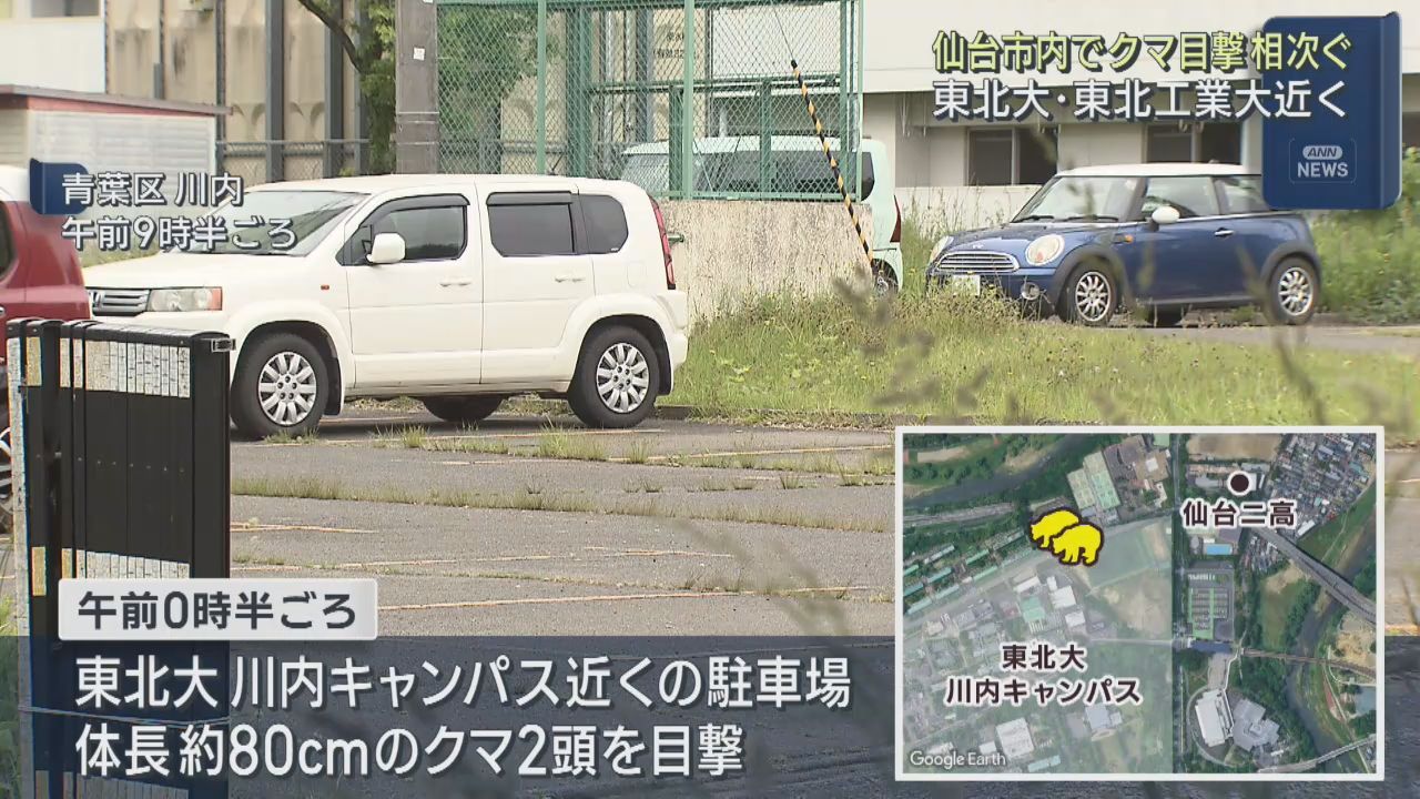 大学キャンパス近くでクマの目撃が相次ぐ　仙台市の青葉区と太白区