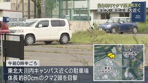 大学キャンパス近くでクマの目撃が相次ぐ　仙台市の青葉区と太白区