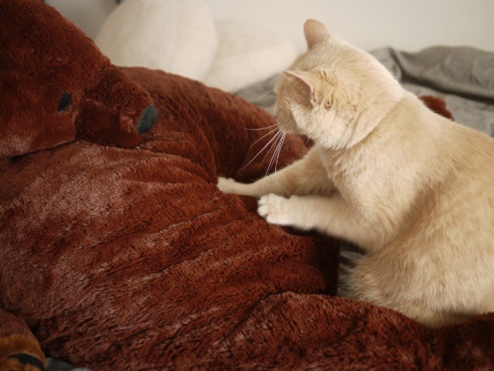 和田さん「良い仕事してますね〜」