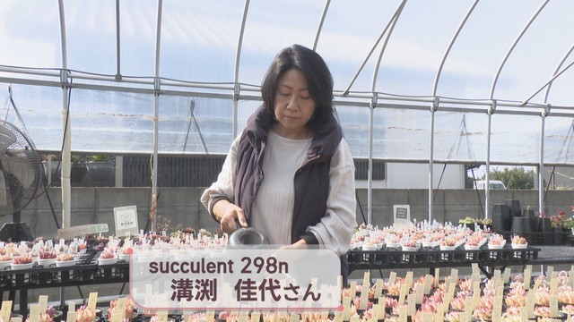 succulent 298n／溝渕佳代さん