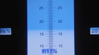 糖度は約17%。まだまだ煮詰めて、もっと濃くしていく／ちーとん。さん提供
