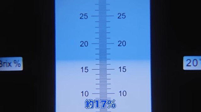 糖度は約17%。まだまだ煮詰めて、もっと濃くしていく／ちーとん。さん提供