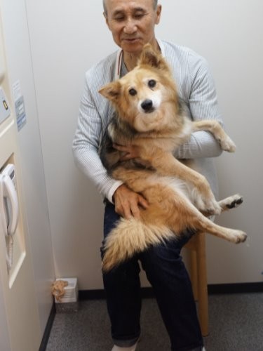 散歩の時は２階からホームエレベーターで降りる（おばあちゃんの介護時に設置したものが役だってます）