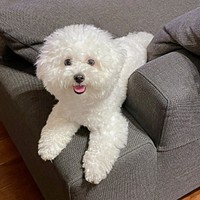 にっこり笑顔が愛らしいゆらちゃん（画像提供：ゆらちゃんさん）