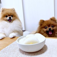 梨に大興奮する（左から）たぬこちゃん、ぽきちくん（画像提供：たぬことぽきちさん）