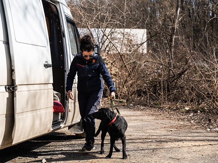 まるで「待っていました、助けてください」とでも言っているように、犬たちは暴れたりすることなく、救出作業にとても協力的だったという　(c)LAV