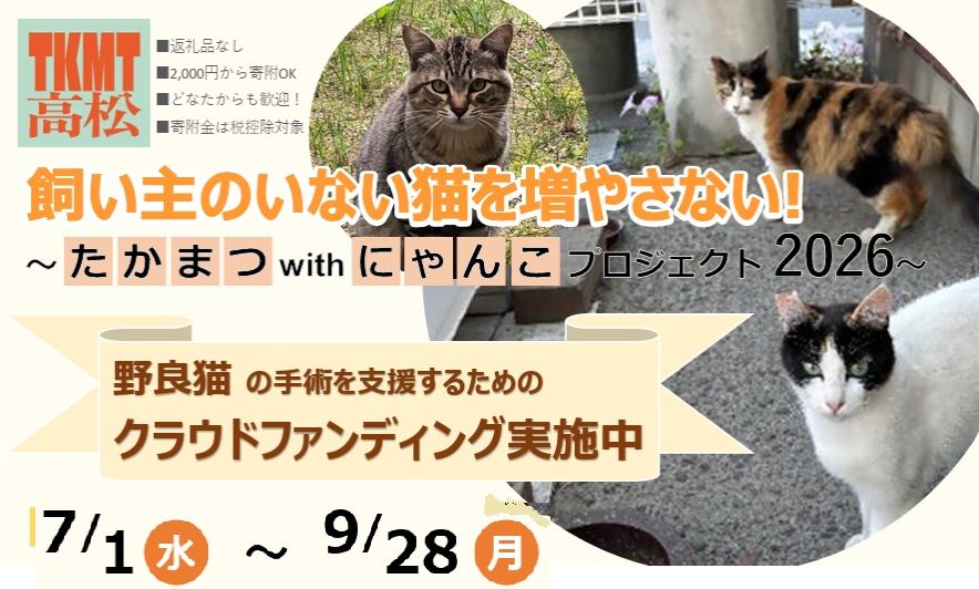 野良猫の不妊去勢手術を支援するためのクラウドファンディング 目標175