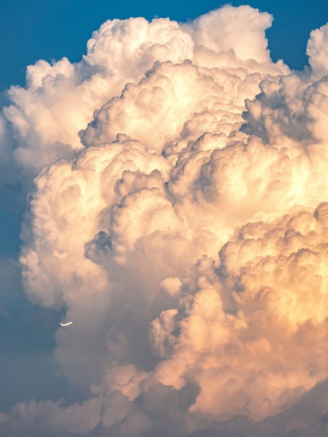 「飛行機が可愛く見えるほど大きい夏雲。」という文言とともに投稿された写真（画像提供／szunaさん）