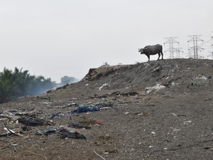 マレーシアになだれ込む、日本など先進国のプラスチックごみ　 中国のプラ禁輸の影響も