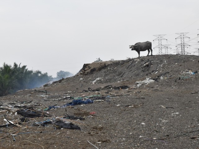マレーシアになだれ込む、日本など先進国のプラスチックごみ　 中国のプラ禁輸の影響も