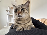 二人三脚で乗り越えた、自宅療養