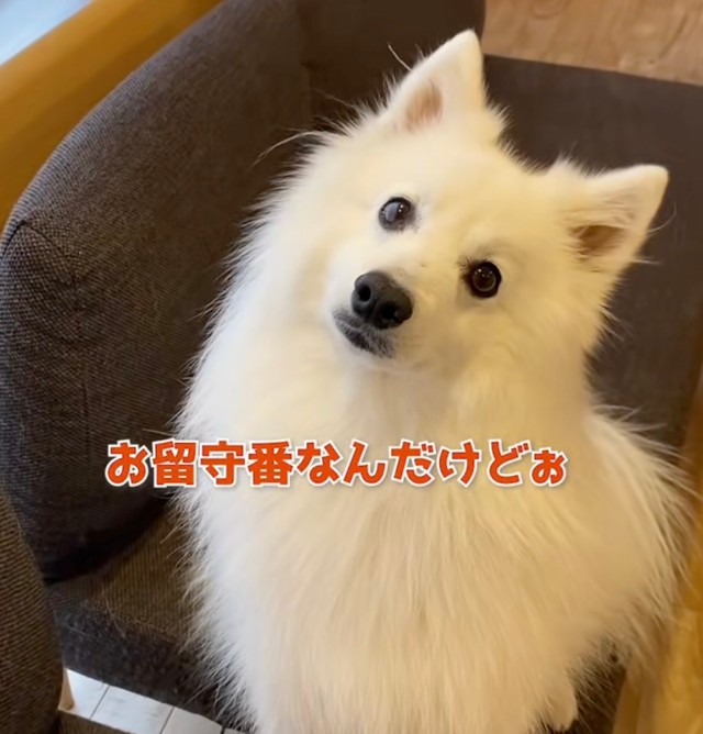 ママのお話、半分くらい理解してる…！？（提供：@poteyamadaさん）
