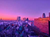 さよなら地元と弱い私。東京という希望を手に入れた私は、もう負けない