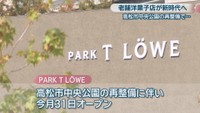 PARK T LOWE