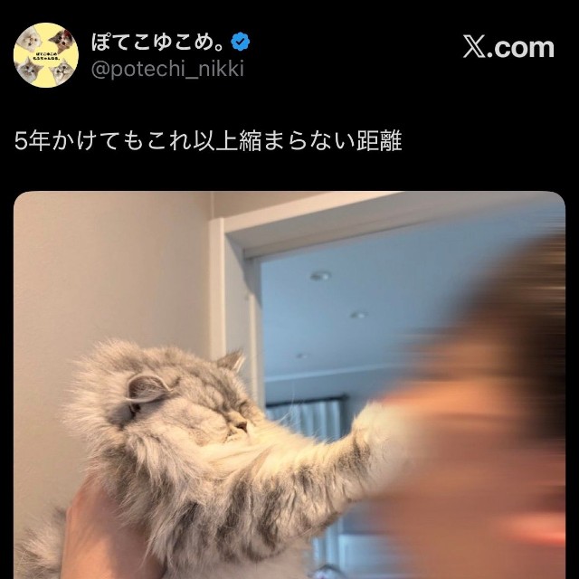 愛情たっぷりに育てたのに…切ない飼い主の姿が話題