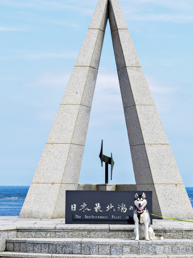 北海道・宗谷岬にある「日本最北端の地の碑」の前にちょこんと座るムイちゃん（画像提供：ムイさん）