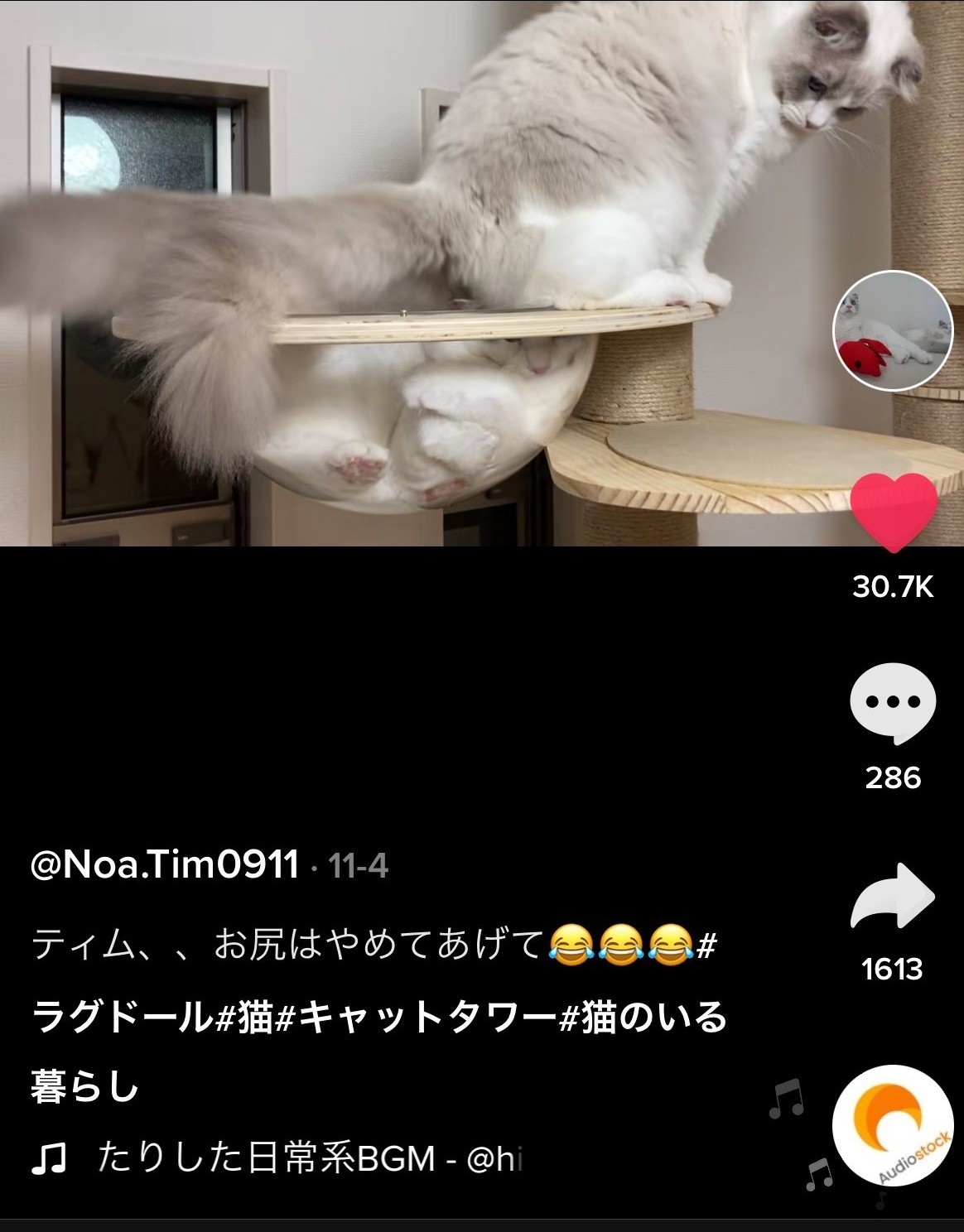 寝姿 いたずら 尻 