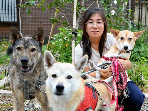 命を処分させない　犬１７００匹を譲渡　金沢のボランティア団体