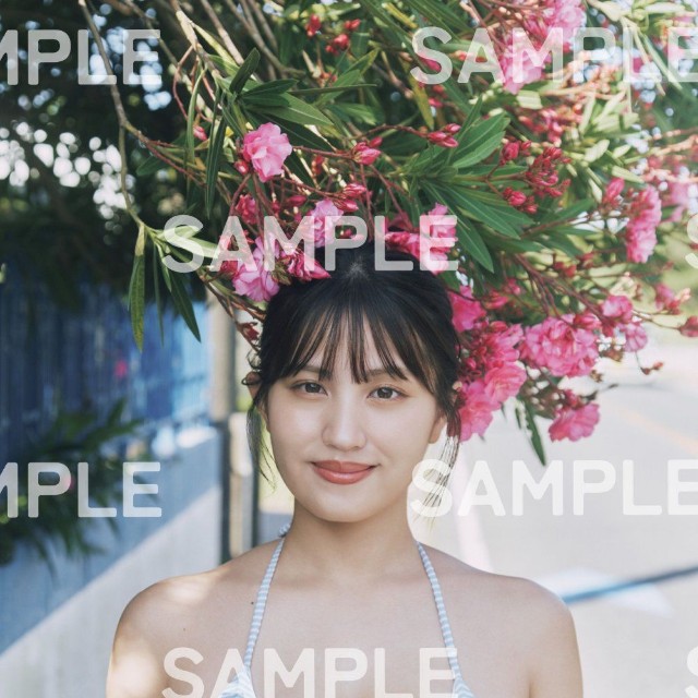 花咲楓香 「B.L.T.」(東京ニュース通信社)2026年11月号セブンネットショッピング購入特典ポストカード