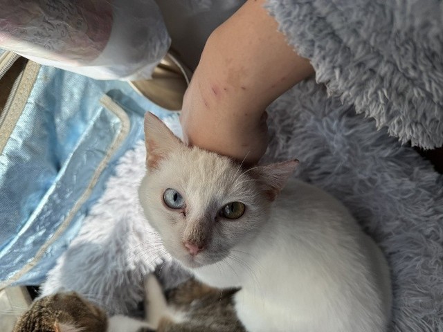 今年の冬には、おうちの中から初雪の観測も楽しんだ