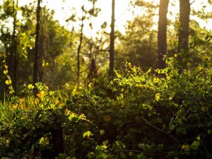 DV、不倫、離婚。ぐらぐらの家族の中で私が身につけた生きる術