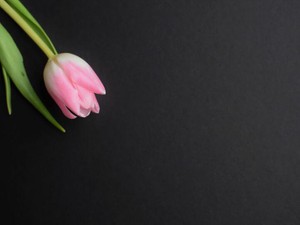 人を勝手にブス判定する母の洗脳が解け、自分を「かわいい」と思えた