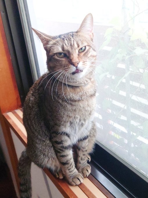 勝手に写真撮らないでって！