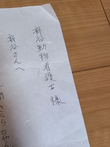 お礼の手紙。「飼い主さんから、一人の動物看護師として認めてもらえたのは何よりうれしかったです」（新谷さん提供）