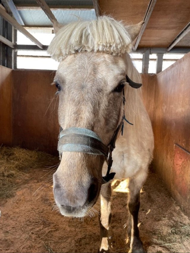 本人は気にしてないのでOK