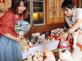 全国から集めた招き猫を一堂に　島原で招き猫まつり