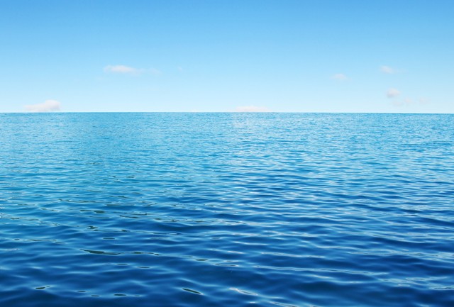 海でフラミンゴを保護！？※画像はイメージです（Alekss/stock.adobe.com）