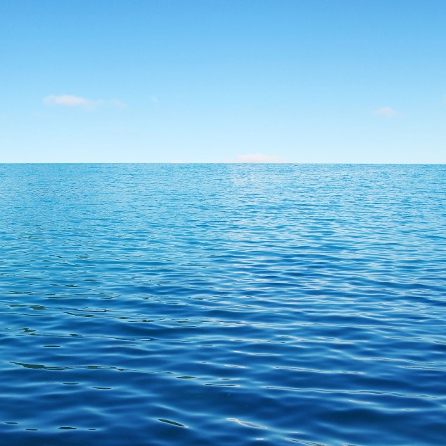 海でフラミンゴを保護！？※画像はイメージです（Alekss/stock.adobe.com）