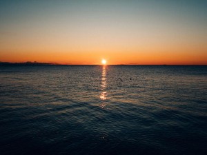 溢れている愛が止まらない。今年は振り切って私の愛のエゴをぶつけてみる決意