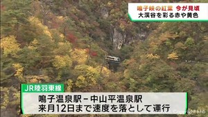 紅葉が見頃　観光客が紅葉狩りを楽しむ　宮城・大崎市の鳴子峡