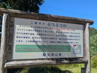 二級河川では日本一短い「ぶつぶつ川」（画像提供：那智勝浦町役場）