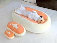 スッポリ入り込んでスヤァ…（飼い主さん）（画像提供：こまち@彩さん）