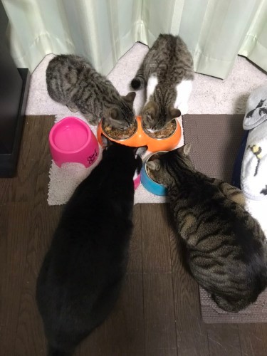 賑やかな食事風景（千鶴代さん提供）