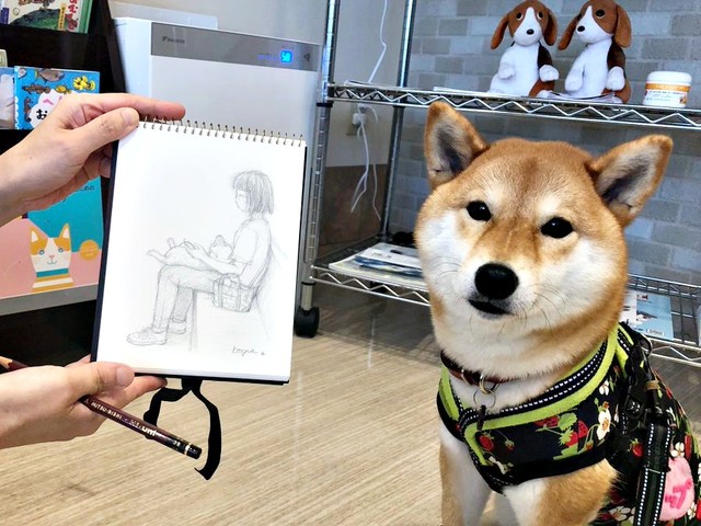 病院の待合室で描いてもらった絵とタップちゃん（画像提供：☆柴犬タップ☆さん）