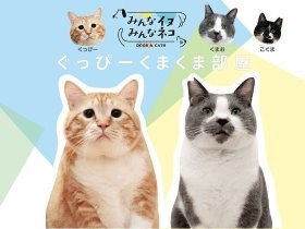 「ぐっぴーくまくま部屋」再び　等身大パネルやトークショーも