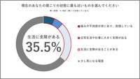肩こりの状態について（パナソニック調べ）