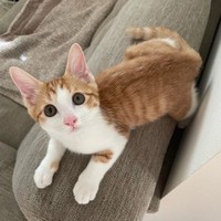 可愛いけど、お転婆さん。